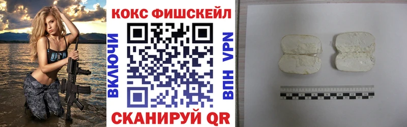 Купить закладки  Дедовск  Cocaine Fish Scale 