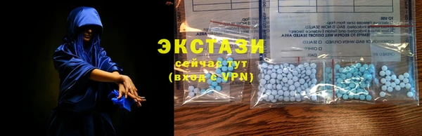 стаф Кулебаки